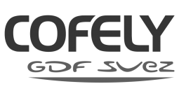 cofely_gdf_suez_logo-1024x501